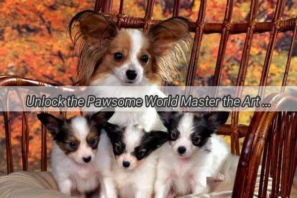 Unlock the Pawsome World Master the Art of Finding the Perfect Doggie Delights